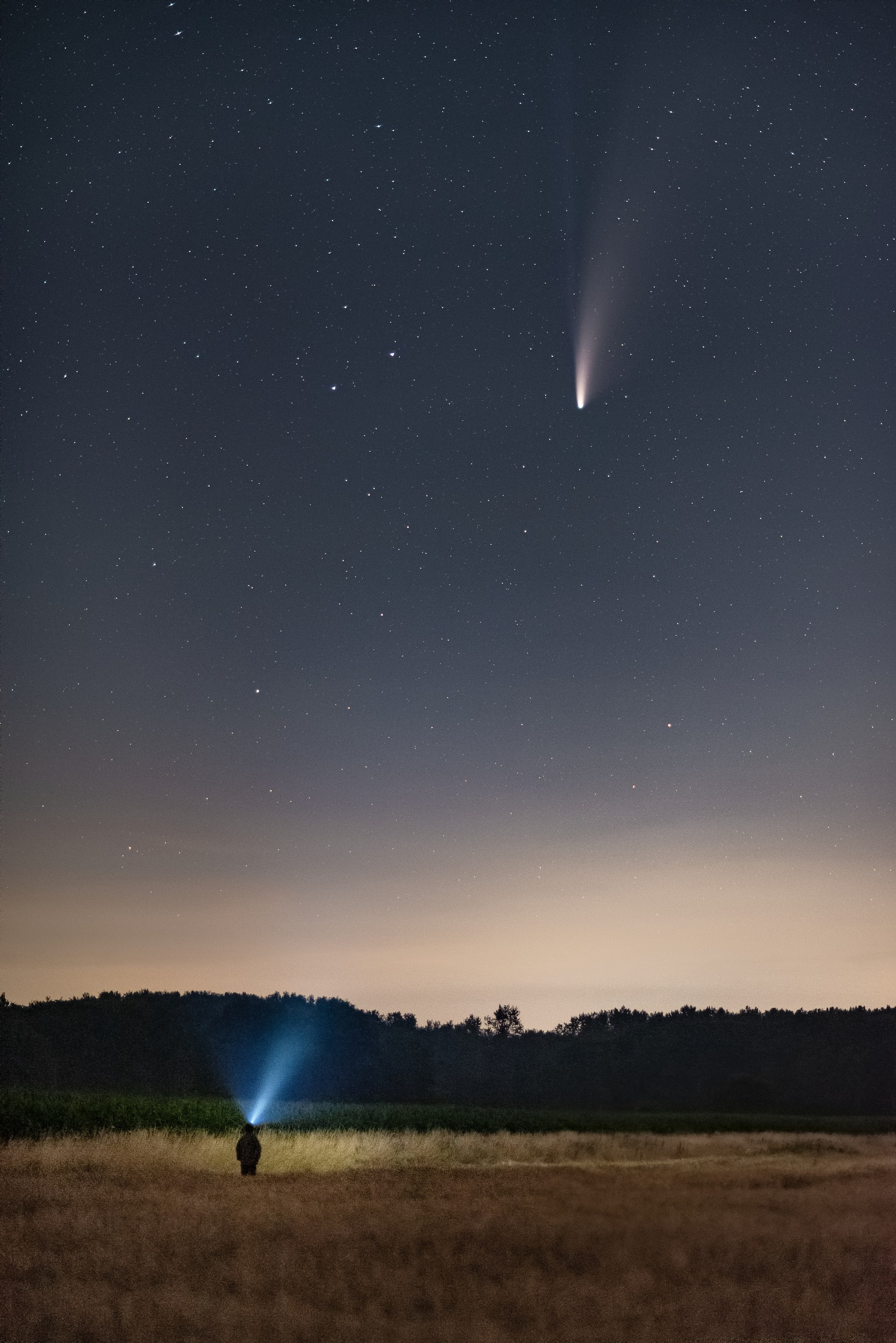 comet-field